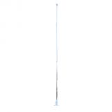 STAINLESS STEEL FLAGPOLE 25 FT HEIGHT