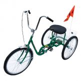 STANDARD INDUSTRIAL BICYCLE 250 LB GREEN